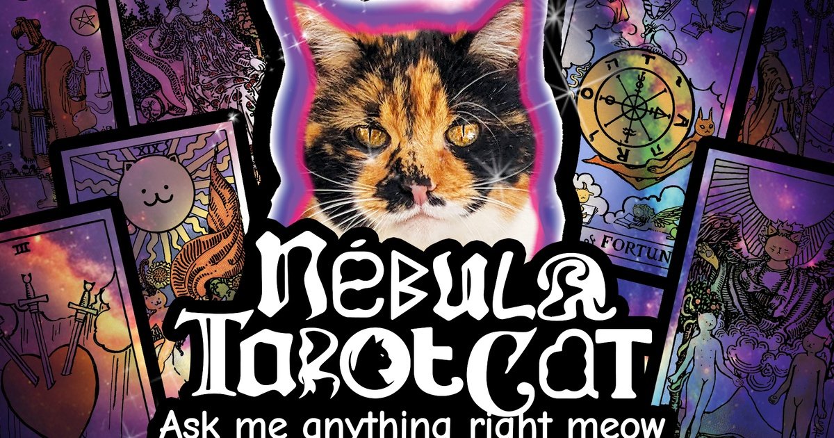Nébula Tarot Cat