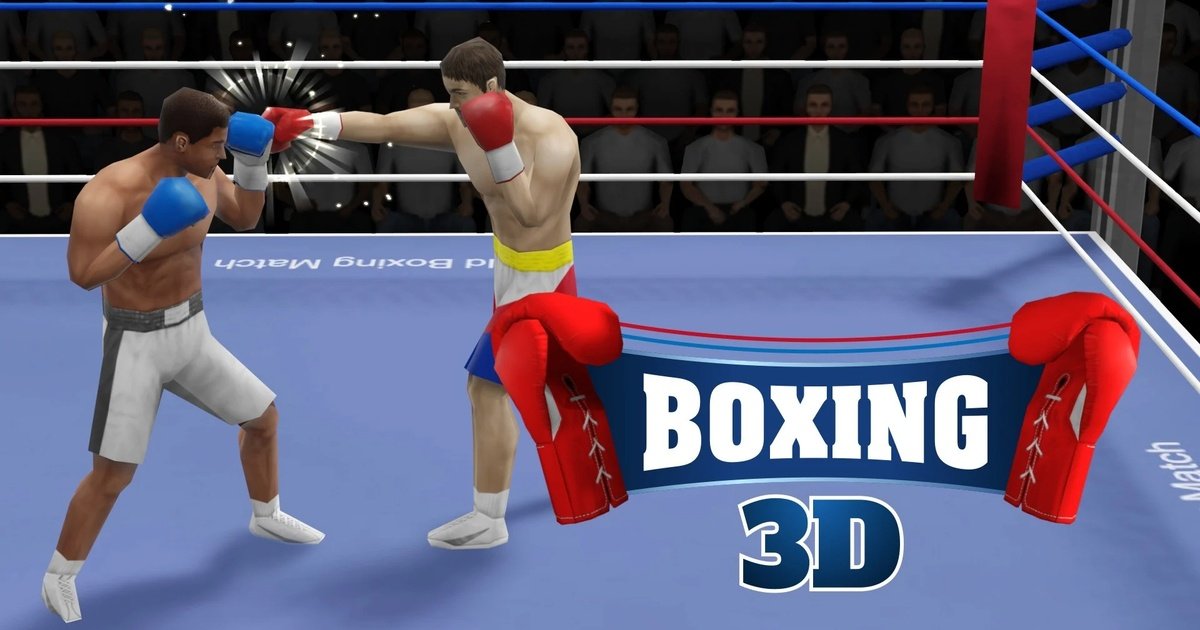 Boxing 3D
