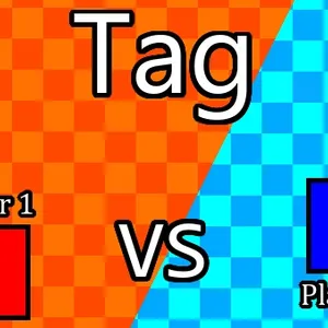 2 Player Tag