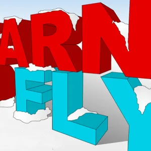 Learn To Fly