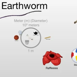 The Scale of the Universe 2