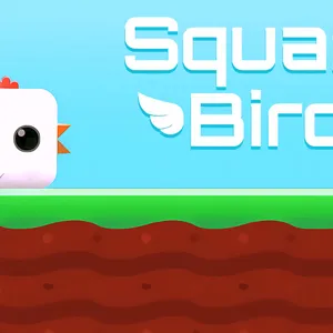 Square Bird