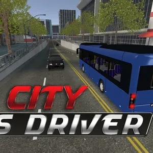 City Bus Driver