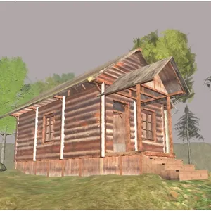 Survive In The Forest