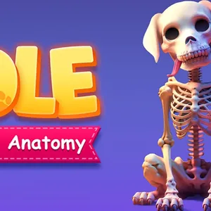 Idle Animal Anatomy