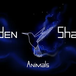 Hidden Shapes Animals