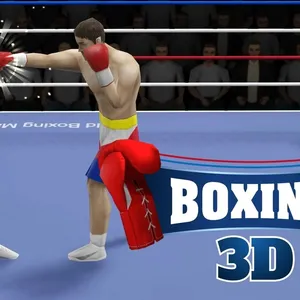 Boxing 3D